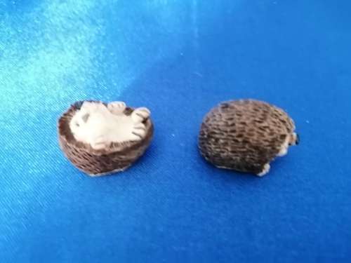 Peter Fagan Colourbox Teddy Bear Hedgehogs Scotland #