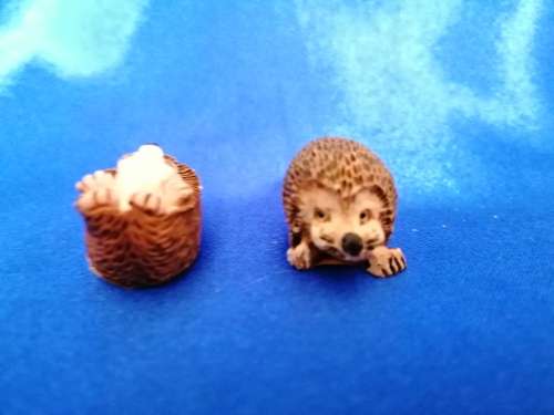 Peter Fagan Colourbox Teddy Bear Hedgehogs Scotland #