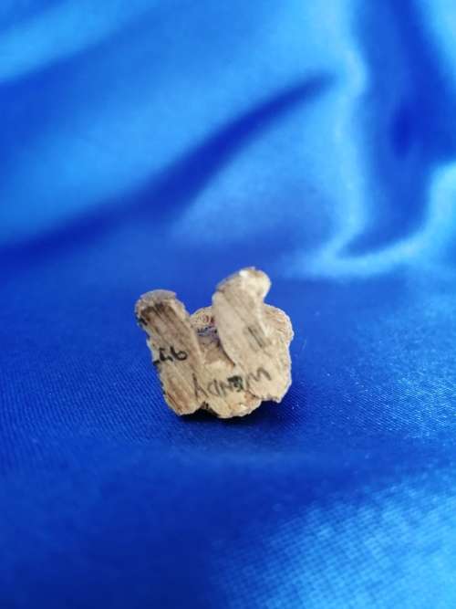 Miniture Wendy Bear