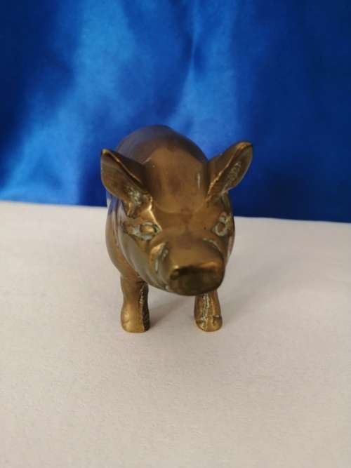 Vintage 1950`s brass pig  #