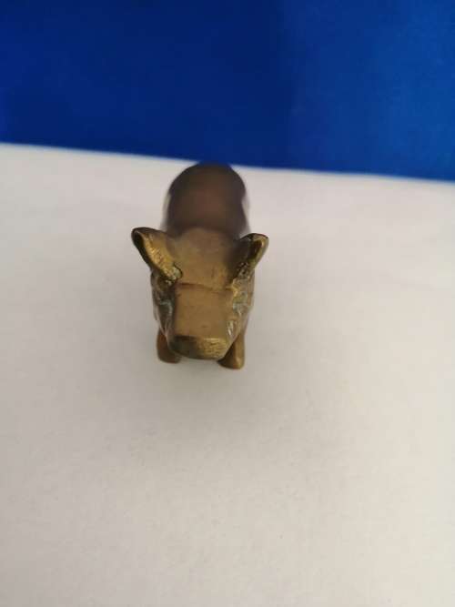 Vintage 1950`s brass pig  #