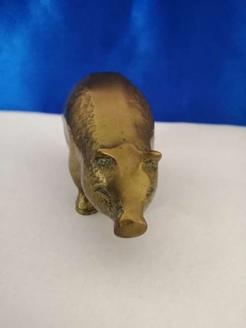 Vintage 1950`s brass pig  #