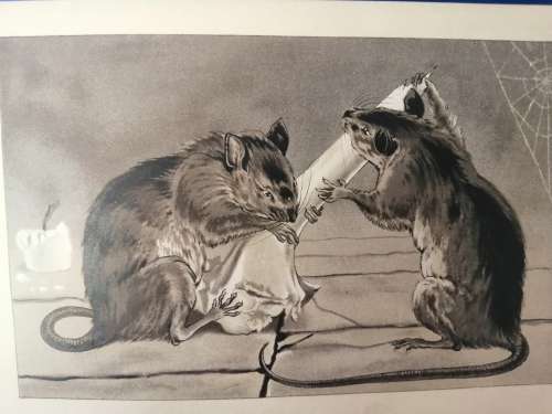 `WHAT BECAME OF THEM AND THE CONCEITED LITTLE PIG c.1888 - Boare, G. Illus. by Lockyer`