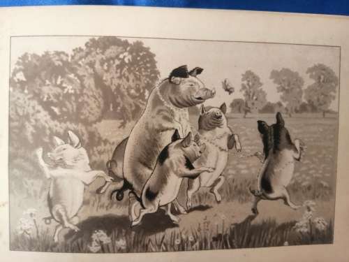 `WHAT BECAME OF THEM AND THE CONCEITED LITTLE PIG c.1888 - Boare, G. Illus. by Lockyer`