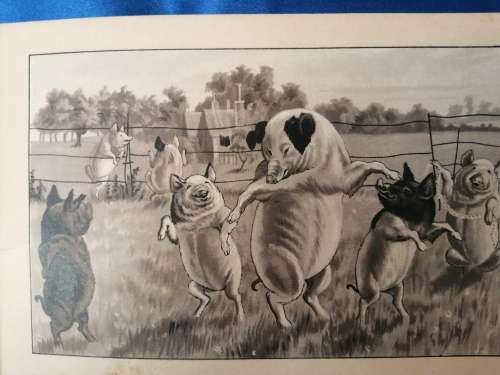 `WHAT BECAME OF THEM AND THE CONCEITED LITTLE PIG c.1888 - Boare, G. Illus. by Lockyer`