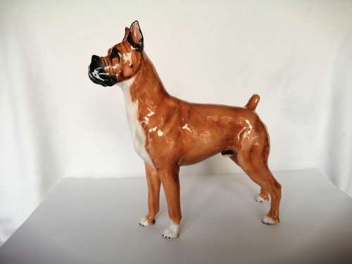 Royal Doulton dog figure Boxer Ch. ` Warlord of Mazelaine ` HN2643
