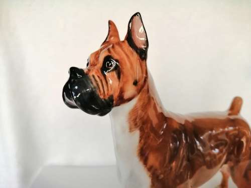 Royal Doulton dog figure Boxer Ch. ` Warlord of Mazelaine ` HN2643