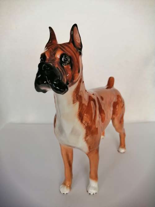 Royal Doulton dog figure Boxer Ch. ` Warlord of Mazelaine ` HN2643