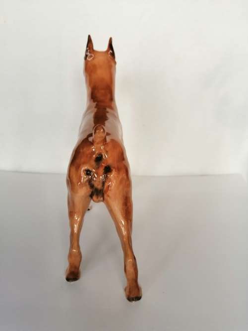 Royal Doulton dog figure Boxer Ch. ` Warlord of Mazelaine ` HN2643