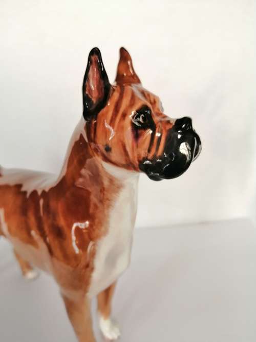 Royal Doulton dog figure Boxer Ch. ` Warlord of Mazelaine ` HN2643