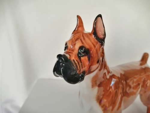 Royal Doulton dog figure Boxer Ch. ` Warlord of Mazelaine ` HN2643
