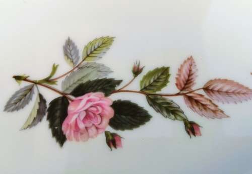 Wedgwood Hathaway Rose Oval Serving Plate  #