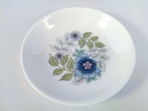 Wedgwood Clementine Bone China Pin Dish  #