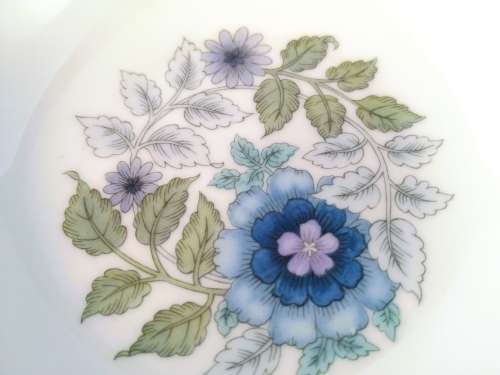 Wedgwood Clementine Bone China Pin Dish  #