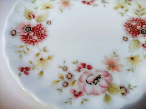 Wedgwood Posy Bone China Pin Dish  #