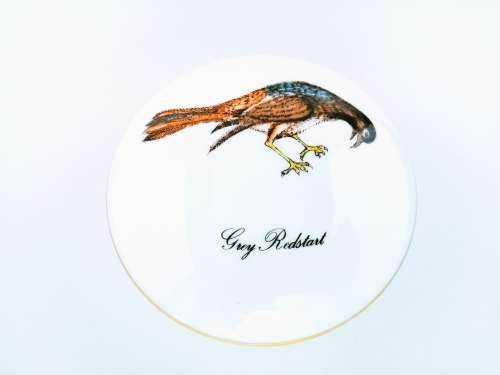Wedgwood Birds of the World Susie Cooper trinket box and lid - Grey Redstart Bird