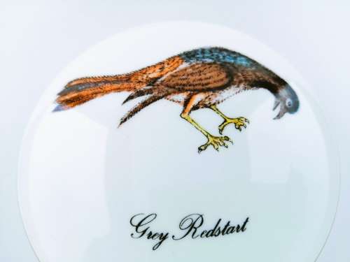 Wedgwood Birds of the World Susie Cooper trinket box and lid - Grey Redstart Bird
