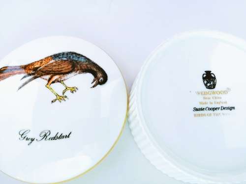 Wedgwood Birds of the World Susie Cooper trinket box and lid - Grey Redstart Bird
