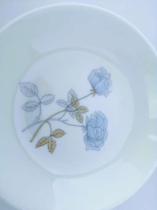 Wedgwood Ice Rose Bone China Pin Dish  #