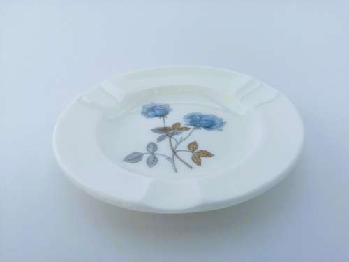 Wedgwood Ice Rose Bone China Pin Dish  #