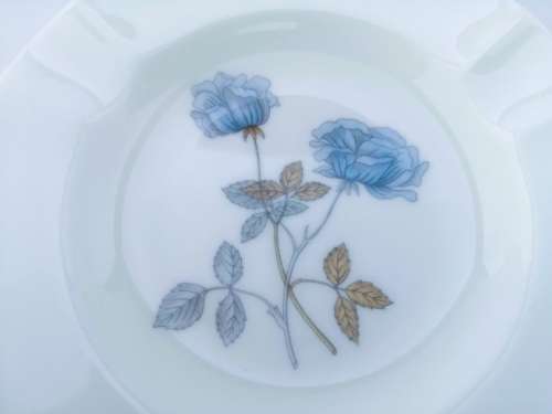 Wedgwood Ice Rose Bone China Pin Dish  #