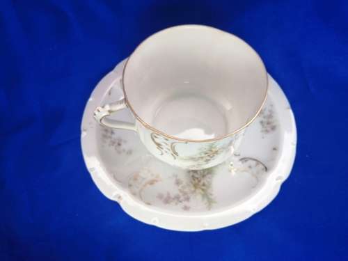 Philip Rosenthal and Co of Konach,Baveria Sevres Cup and Saucer