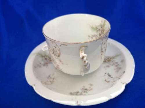 Philip Rosenthal and Co of Konach,Baveria Sevres Cup and Saucer