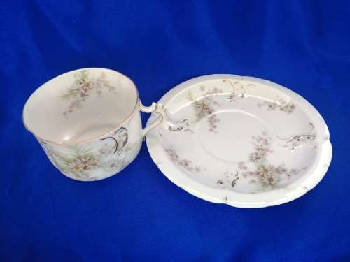 Philip Rosenthal and Co of Konach,Baveria Sevres Cup and Saucer