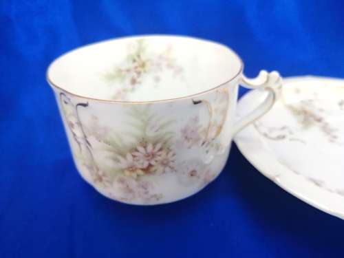 Philip Rosenthal and Co of Konach,Baveria Sevres Cup and Saucer