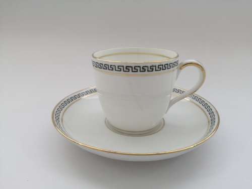 Sand N L Salon China Tea Cup and Saucer Made in England