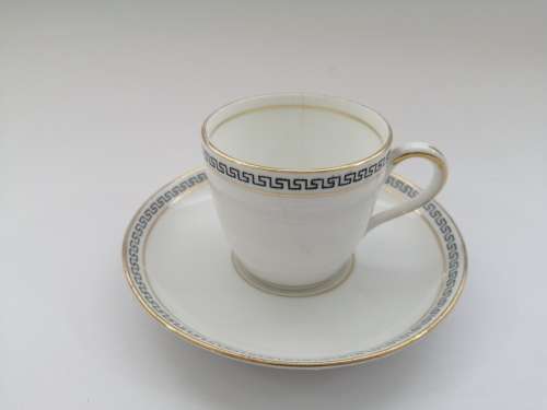 Sand N L Salon China Tea Cup and Saucer Made in England