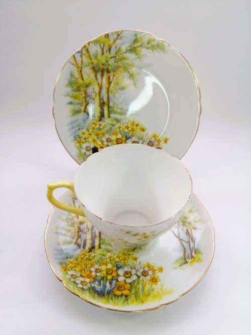 SHELLEY Daffodil Time TRIO Tea Side Plate Cup and Saucer ENGLAND