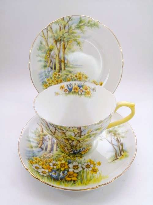 SHELLEY Daffodil Time TRIO Tea Side Plate Cup and Saucer ENGLAND
