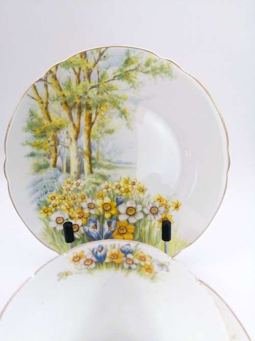 SHELLEY Daffodil Time TRIO Tea Side Plate Cup and Saucer ENGLAND