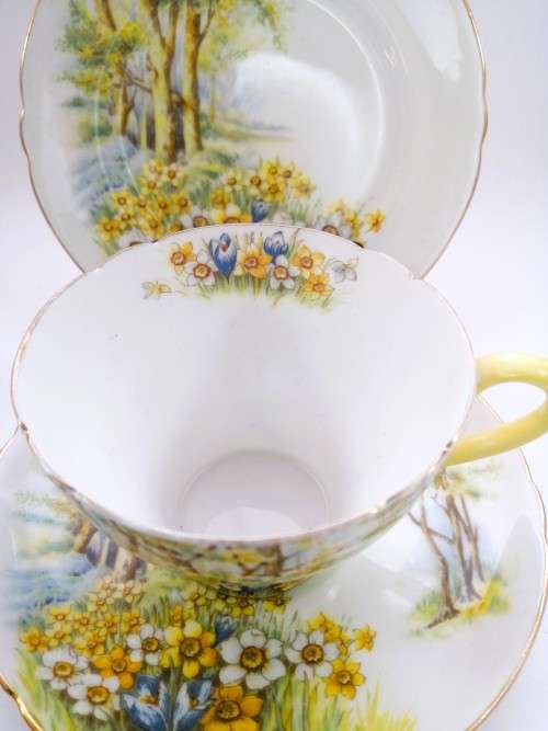 SHELLEY Daffodil Time TRIO Tea Side Plate Cup and Saucer ENGLAND