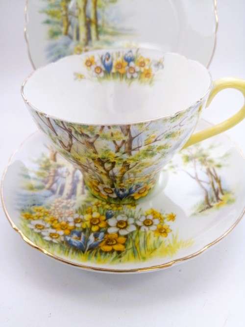 SHELLEY Daffodil Time TRIO Tea Side Plate Cup and Saucer ENGLAND