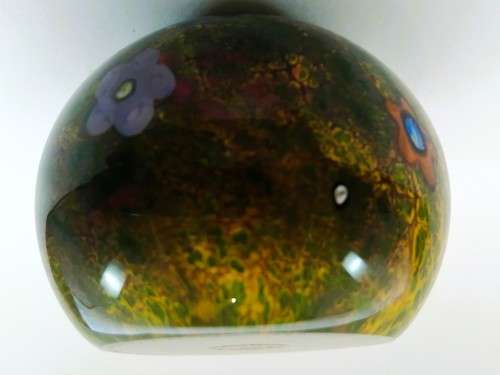 Selkirk Glass Peter Holmes Scotland Summer Magic Dragonfly 1980 Beautiful