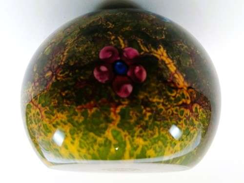 Selkirk Glass Peter Holmes Scotland Summer Magic Dragonfly 1980 Beautiful