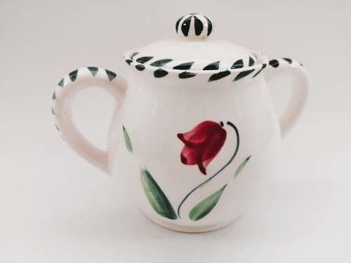 Royal Loric Wild Porcelain Set - Made in Japan