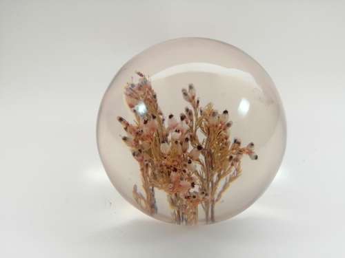 DRIED FLOWERS RESIN BALL PAPERWEIGHT