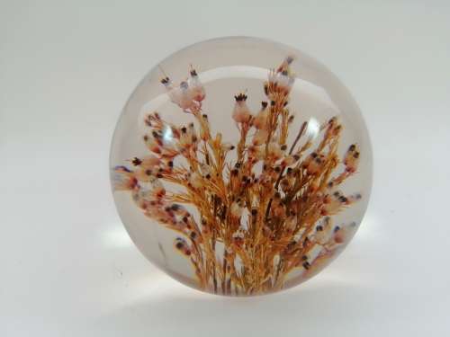 DRIED FLOWERS RESIN BALL PAPERWEIGHT