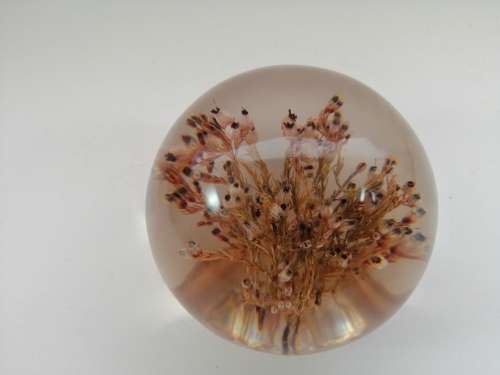 DRIED FLOWERS RESIN BALL PAPERWEIGHT