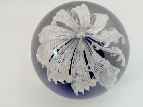 COBALT BLUE AND WHITE SPRAY FLOWER GLASS PAPERWEIGHT WITH CONTROLLED BUBBLE ART