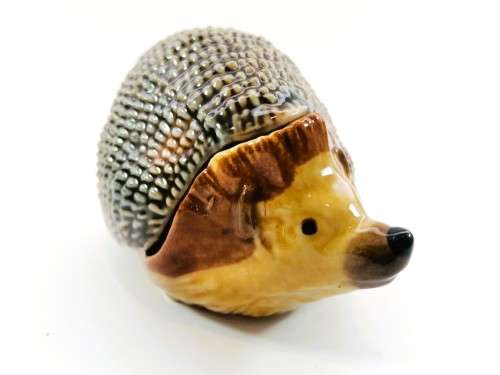 Wade Large Lidded Hedgehog trinket Box