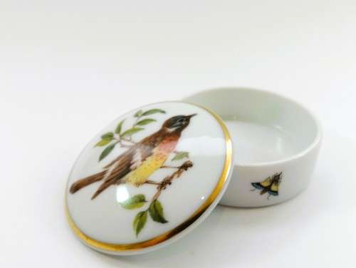 Kaiser Germany vintage Porcelain Tiergarten Bird Trinket Box