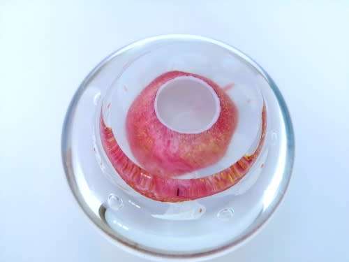 Stunning vibrant detailed large glass paperweight