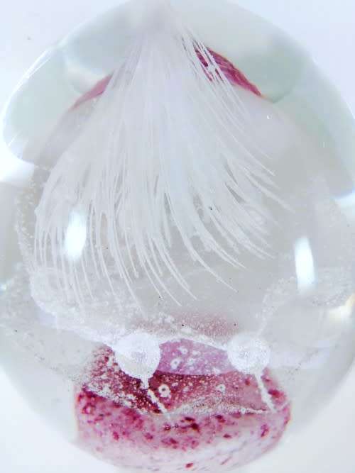 Stunning Vibrant  glass paperweight