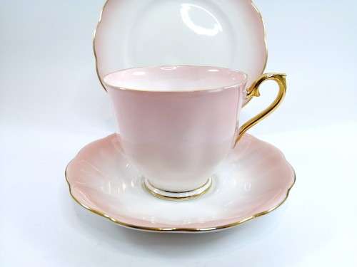 Royal Albert ` RAINBOW ` Pink Hampton shape Tea Cup Saucer and Plate Fine Bone China England