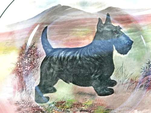 1950s Royal Doulton `Scotty Dog` Scottish Terrier  Wall Plate  Scottish Terrier