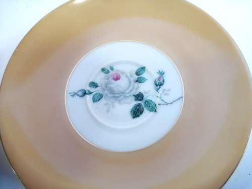 Westminster Cup Saucer Duo Fine Bone Brown Australian China
